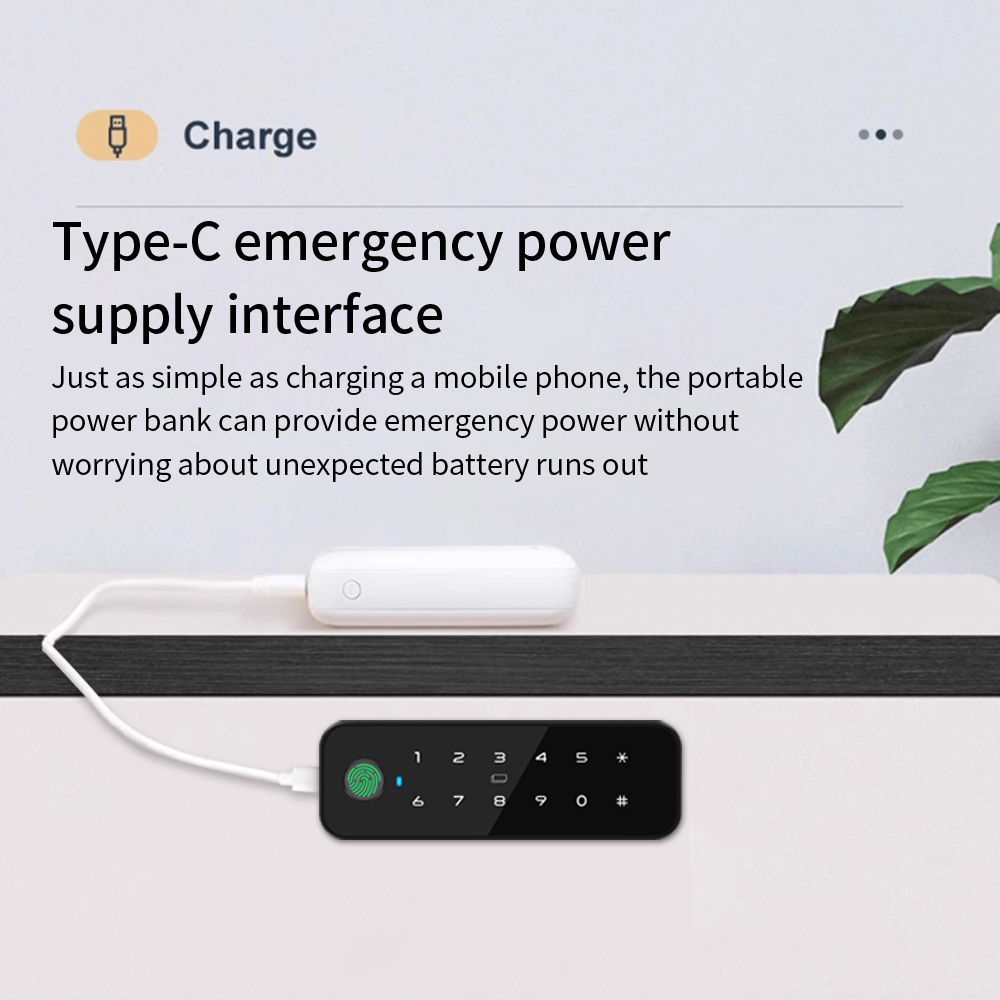 Tuya Bluetooth Akıllı Ahşap Do - Furniture Hardware Tools incelemesi ve fiyatı
